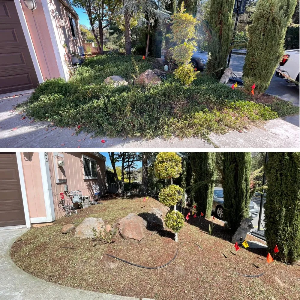 Professional outdoor landscaping in Sunnyvale, CA - Adara Landscapes