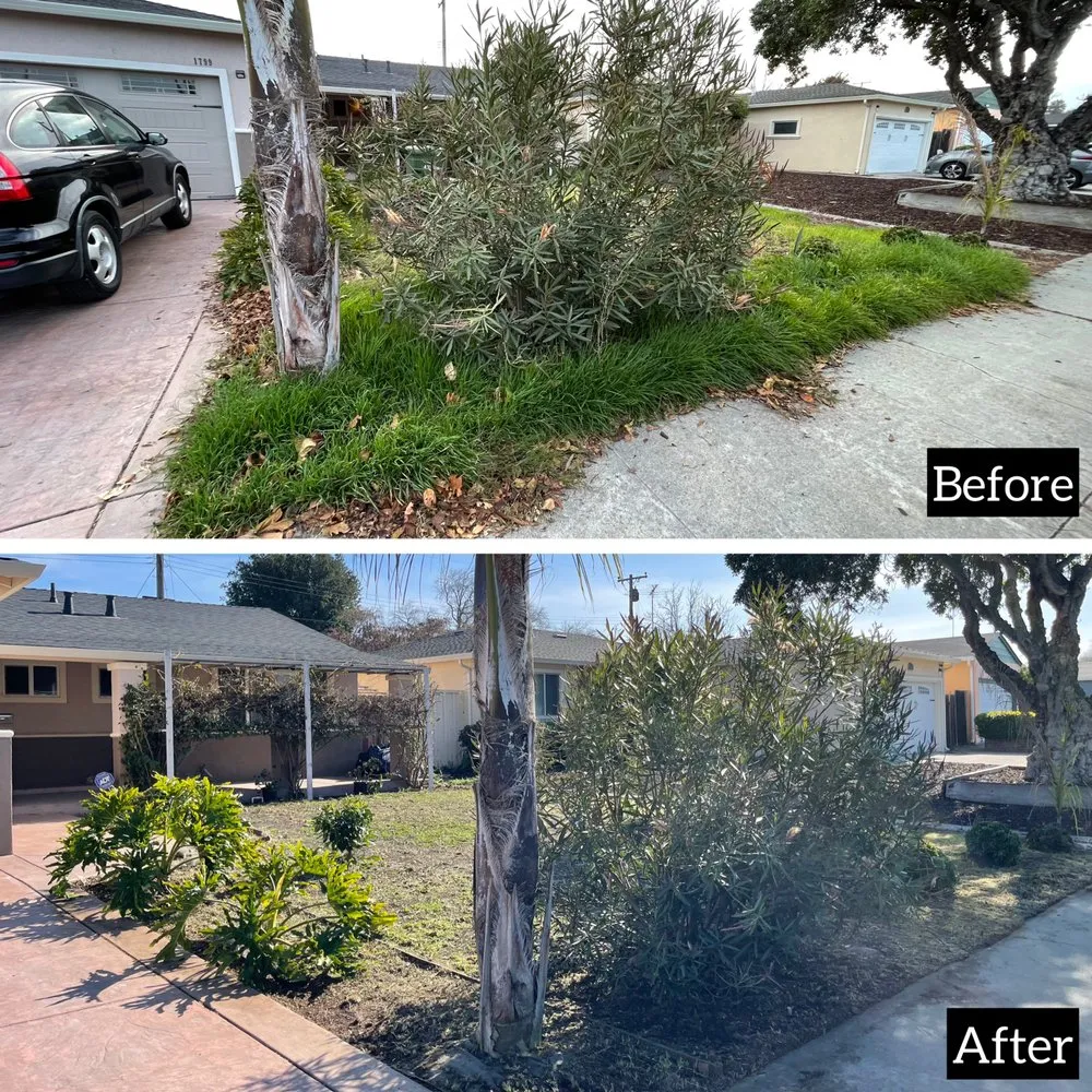 Reliable outdoor landscaping in Sunnyvale, CA by Adara Landscapes