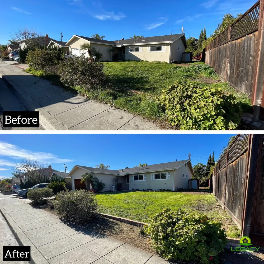 Top-rated residential landscaping for residential properties in Sunnyvale, CA by Adara Landscapes