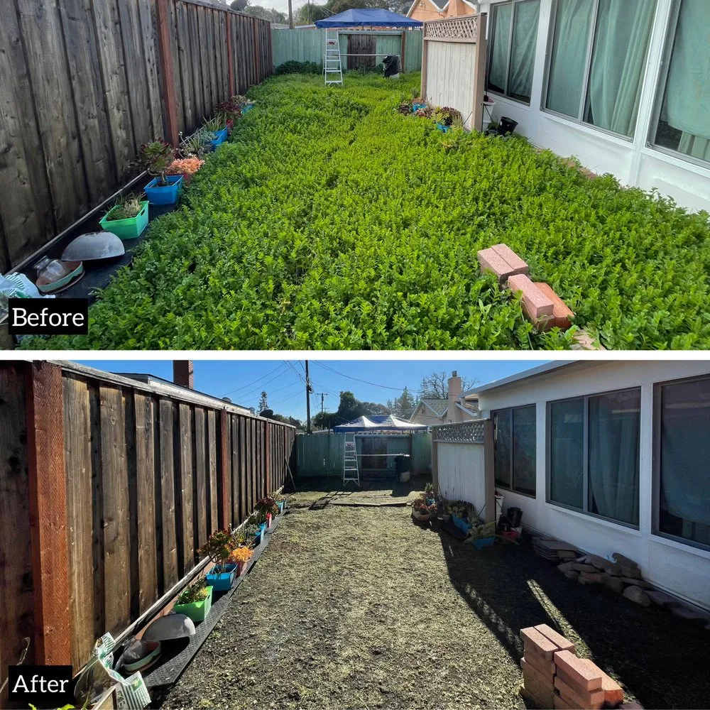Trusted lawn care service for homes across Sunnyvale, CA - Adara Landscapes