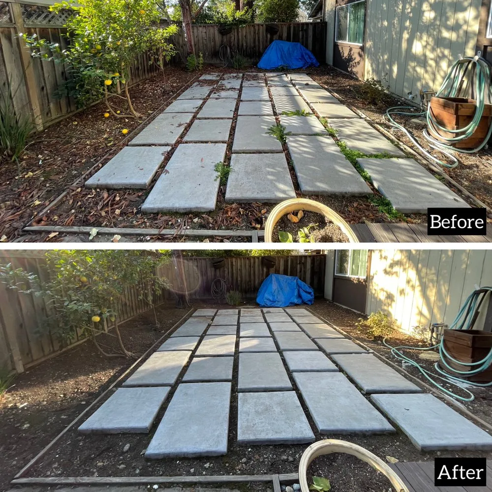 Custom landscaping services for outdoor upgrades in Sunnyvale, CA by Adara Landscapes