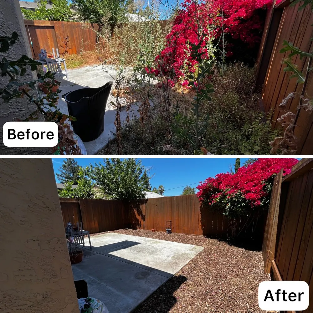 Professional landscape installation in Sunnyvale, CA by Adara Landscapes