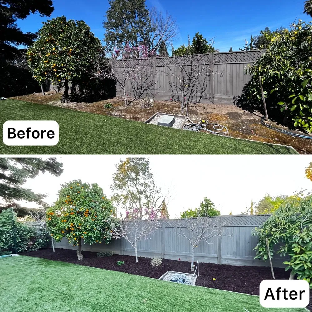 Affordable garden landscaping for homes in Sunnyvale, CA by Adara Landscapes