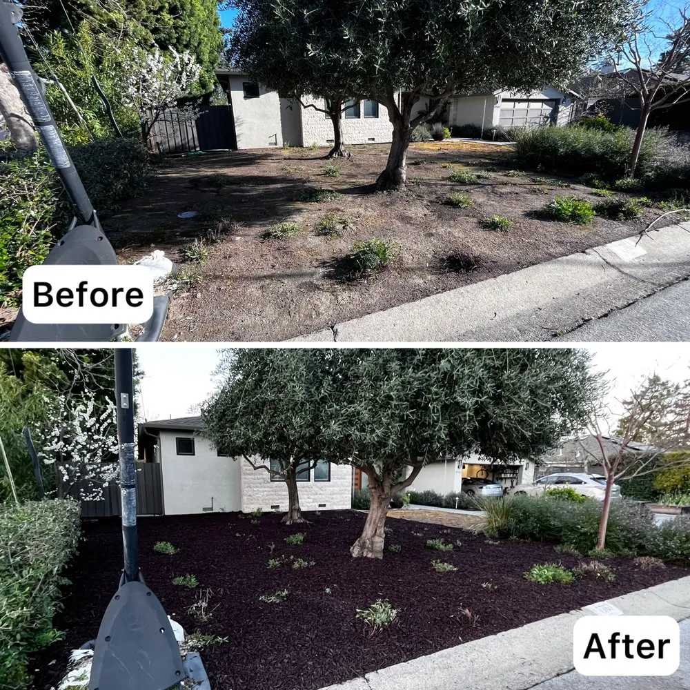 Local residential landscaping in Sunnyvale, CA by Adara Landscapes