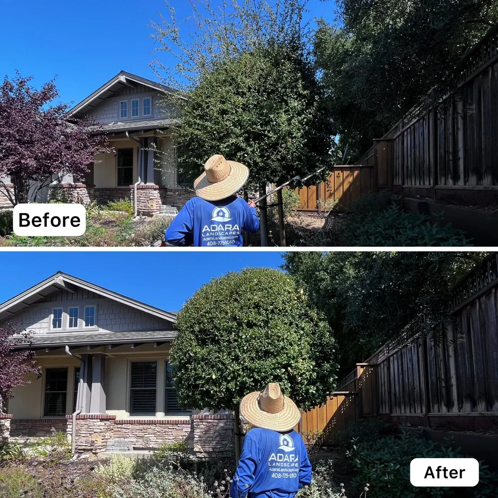 Expert yard maintenance in Sunnyvale, CA - Adara Landscapes