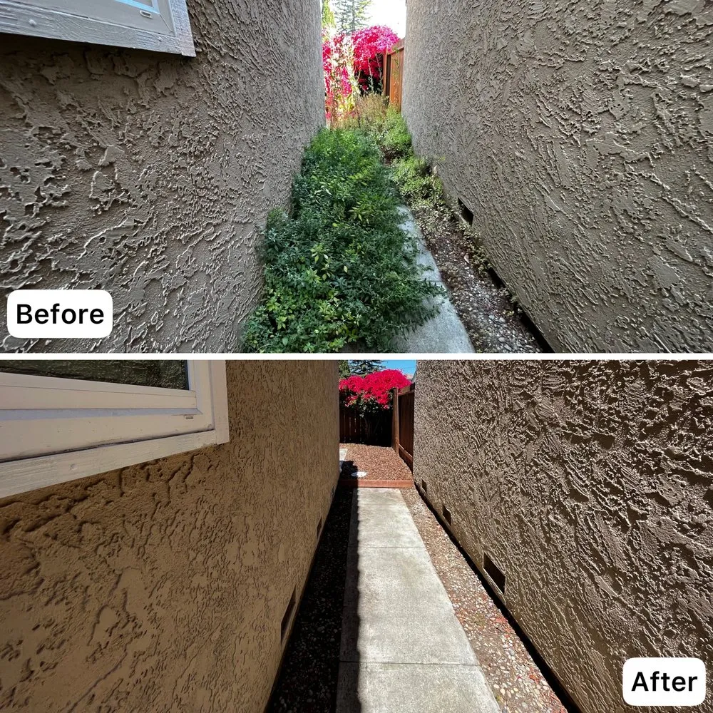Local yard cleanup service with custom design across Sunnyvale, CA - Adara Landscapes