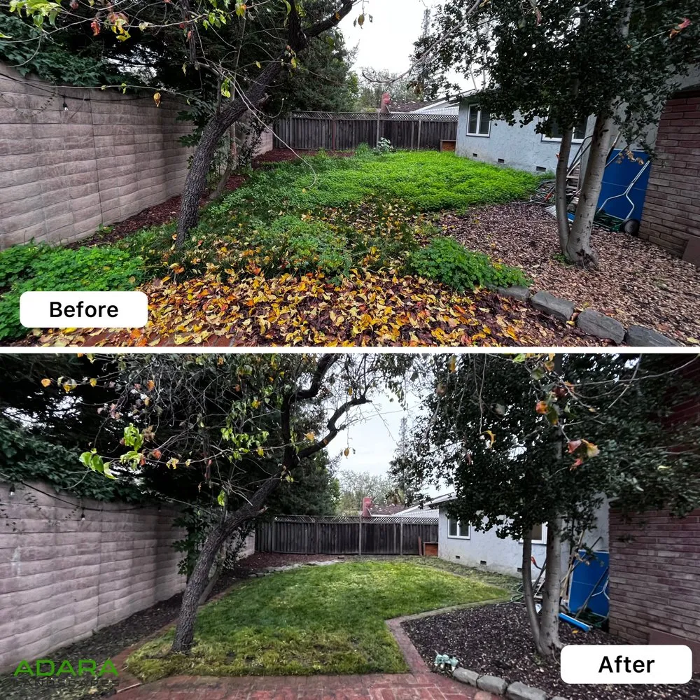 Affordable residential landscaping in Sunnyvale, CA - Adara Landscapes