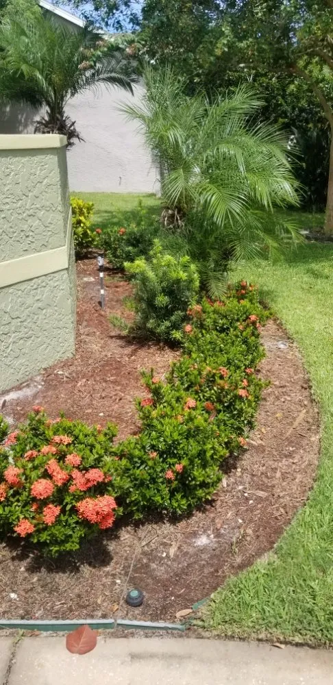Professional landscape installation experts serving Satellite Beach, FL - Adara Lawn and Pool