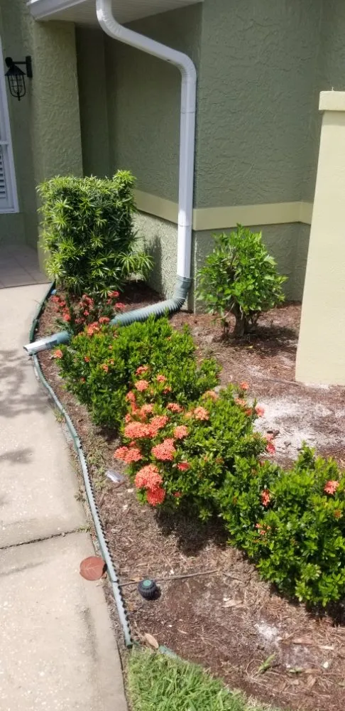 Local yard cleanup service in Satellite Beach, FL - Adara Lawn and Pool