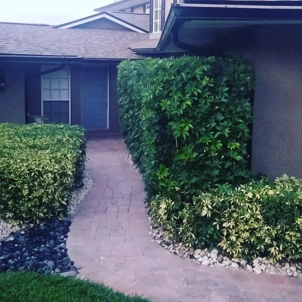 Professional landscape installation in Satellite Beach, FL by Adara Lawn and Pool