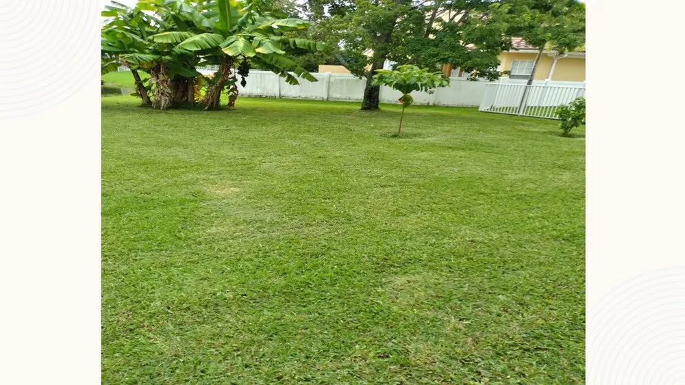 Expert outdoor landscaping for homes across Greenacres, FL - AD&B Lawncare