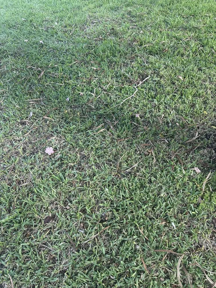 Professional lawn care service in Greenacres, FL by AD&B Lawncare