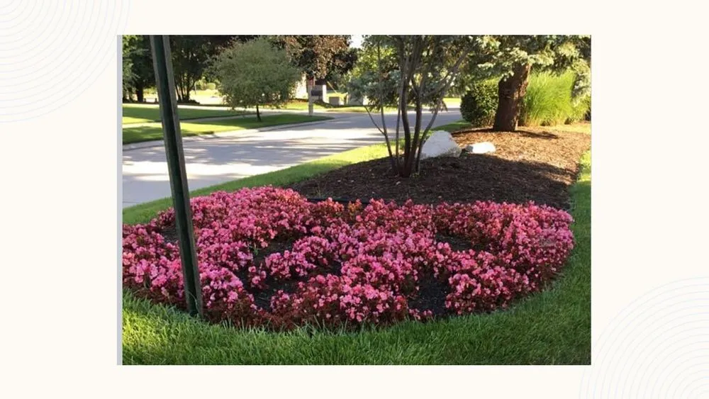Reliable residential landscaping in Greenacres, FL by AD&B Lawncare