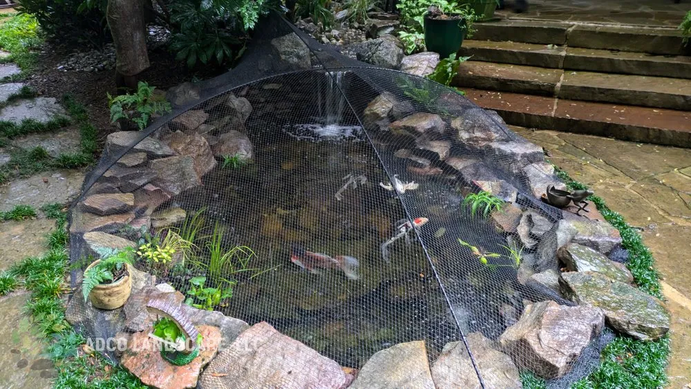 Top-rated yard maintenance in Henderson, NC by Adco Landscape