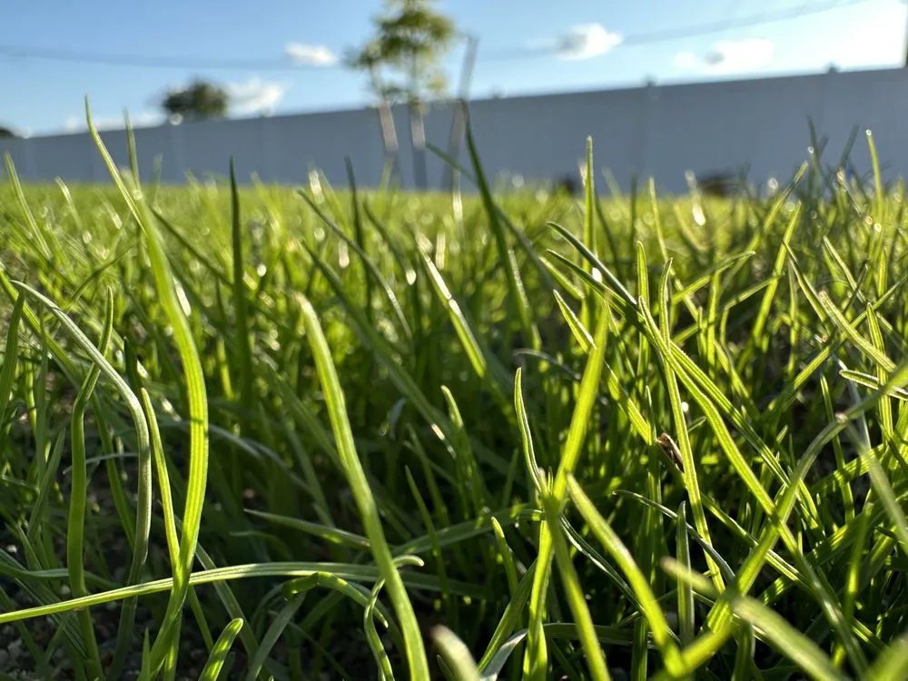 Top-rated residential landscaping for homes across Spokane Valley, WA - Add A Lawn Quality Hydroseeding