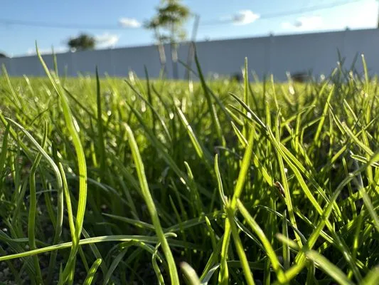 Add A Lawn Quality Hydroseeding Logo