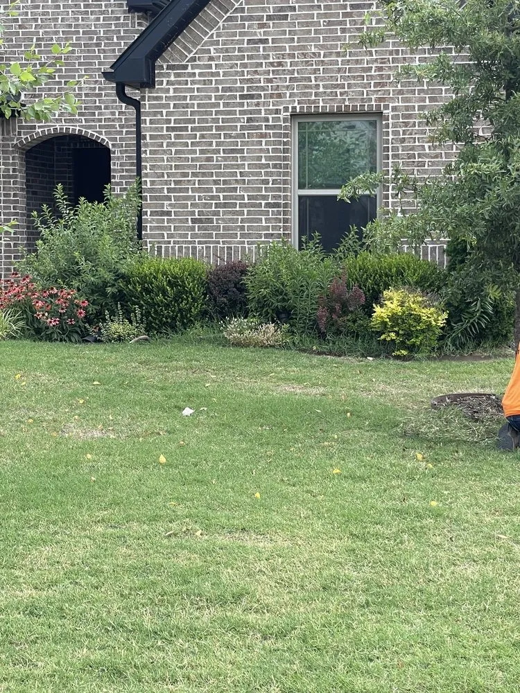 Local lawn mowing service experts serving Springdale, AR - Add-Pro Lawn Care