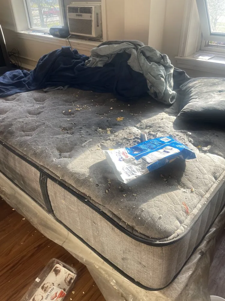 Expert yard maintenance for outdoor upgrades in Akron, OH by Added Value Lawn Care