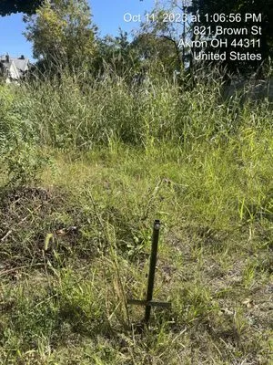 Added Value Lawn Care Logo