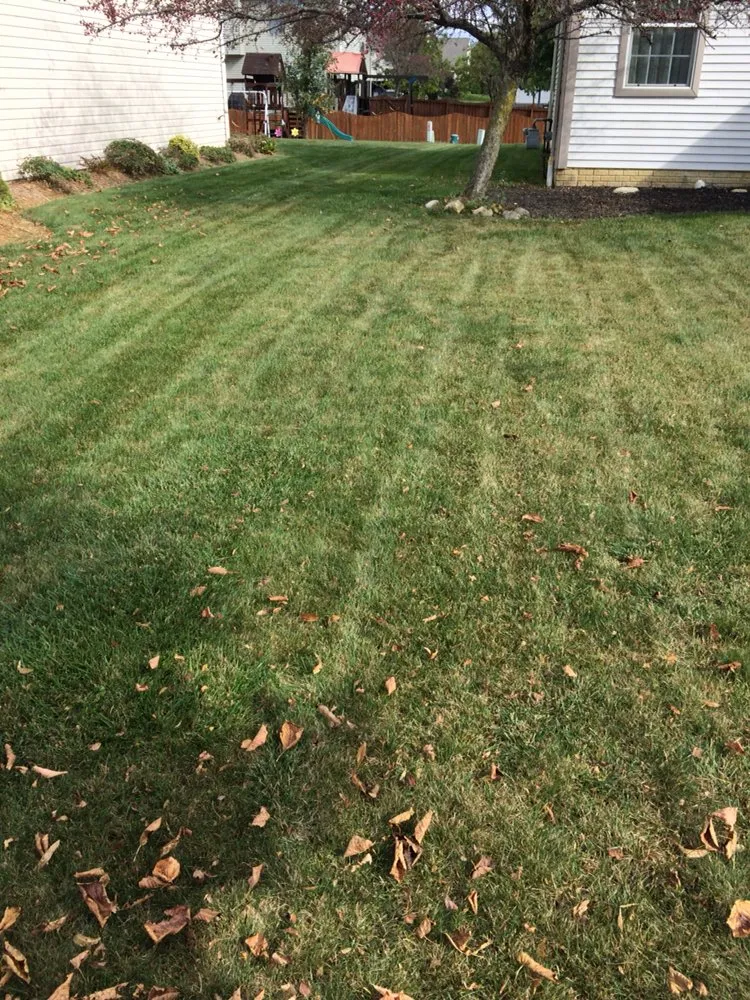 Professional outdoor landscaping for outdoor upgrades across Columbus, OH - Addies Lawn Care Services