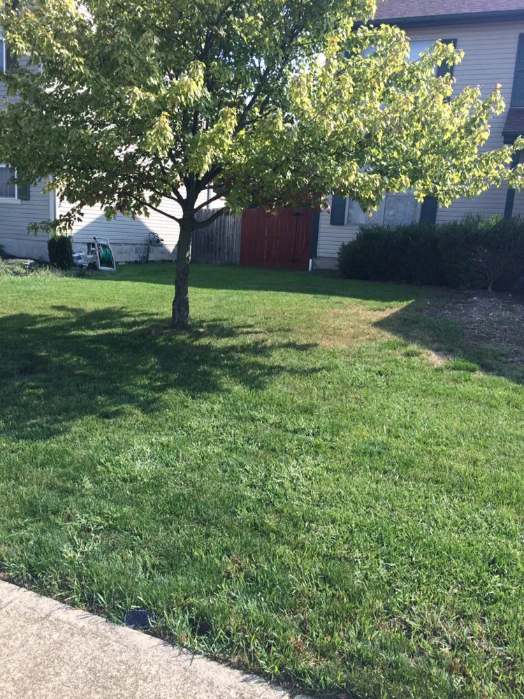 Trusted landscaping services experts serving Columbus, OH - Addies Lawn Care Services