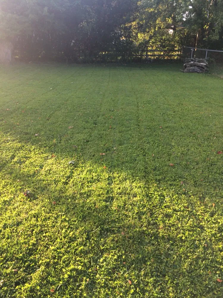 Affordable residential landscaping for year-round maintenance in Columbus, OH by Addies Lawn Care Services