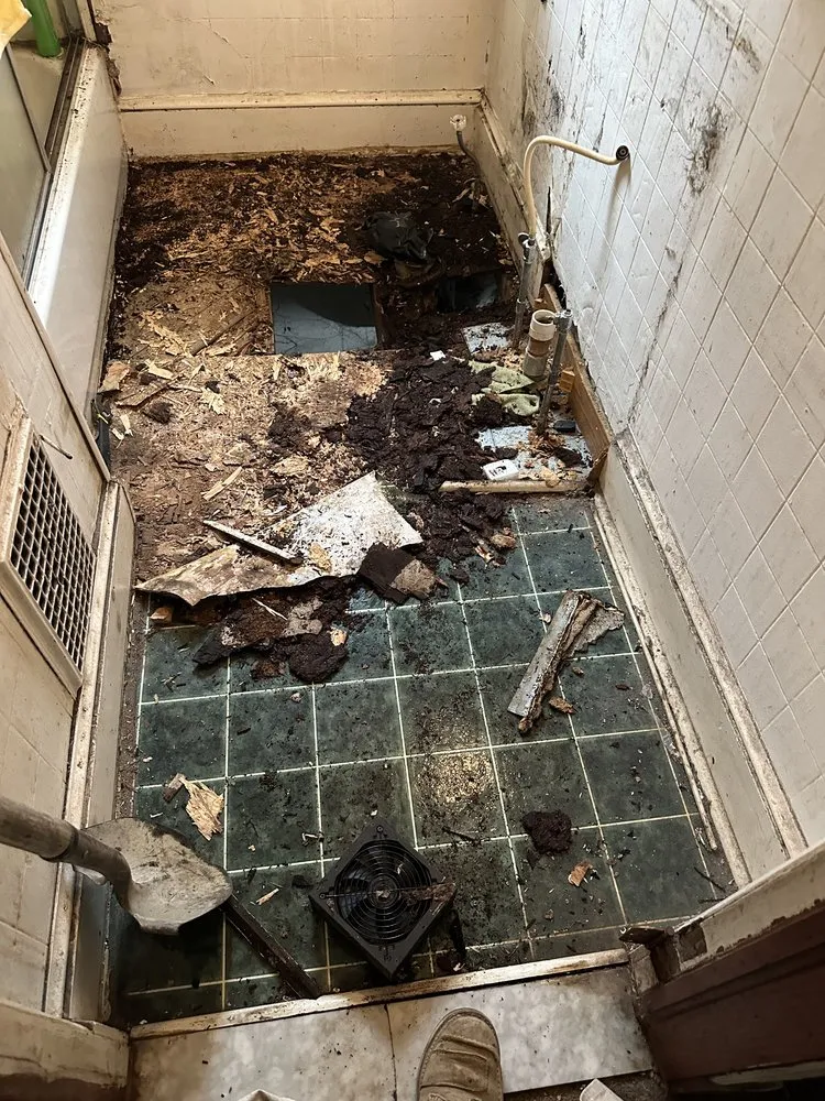 Local landscape installation for beautiful yards across Glen Burnie, MD - Adding Construction