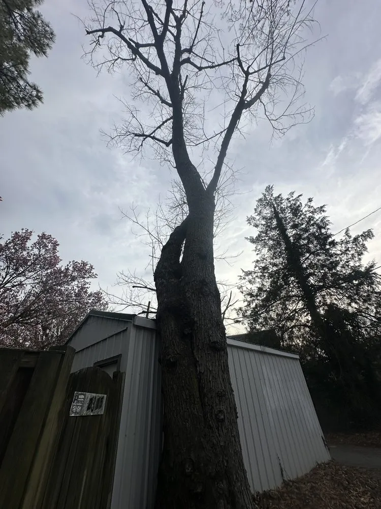 Expert outdoor landscaping near you across Glen Burnie, MD - Adding Construction