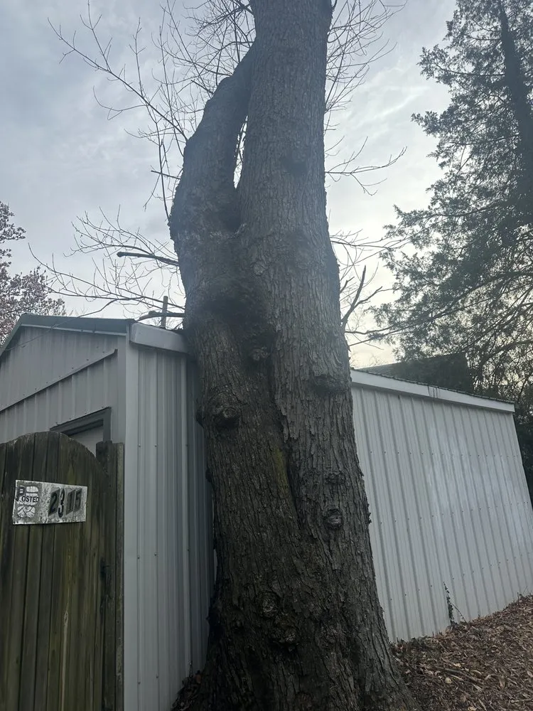 Professional landscape installation for residential properties across Glen Burnie, MD - Adding Construction