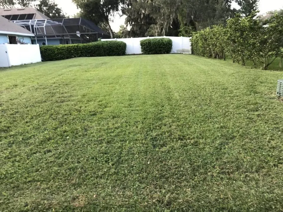 Local residential landscaping in Daytona Beach, FL - Addis Daddy's Landscaping