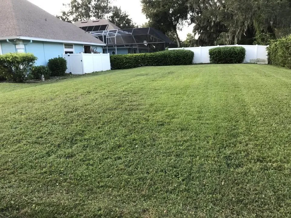 Reliable landscape design experts serving Daytona Beach, FL - Addis Daddy's Landscaping