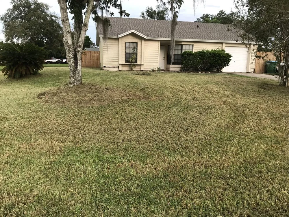 Affordable landscape installation in Daytona Beach, FL by Addis Daddy's Landscaping