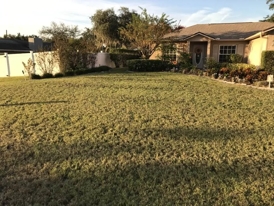 Trusted yard cleanup service for beautiful yards across Daytona Beach, FL - Addis Daddy's Landscaping