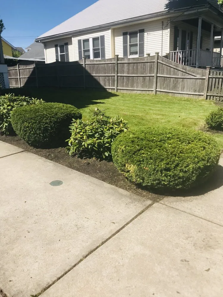 Local landscape installation near you in Cambridge, MA by Addis Garden