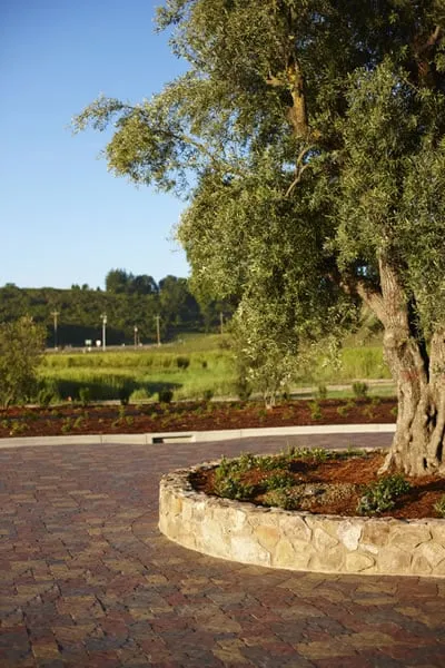 Reliable lawn mowing service for outdoor upgrades in Arroyo Grande, CA by Addison Landscape & Maintenance