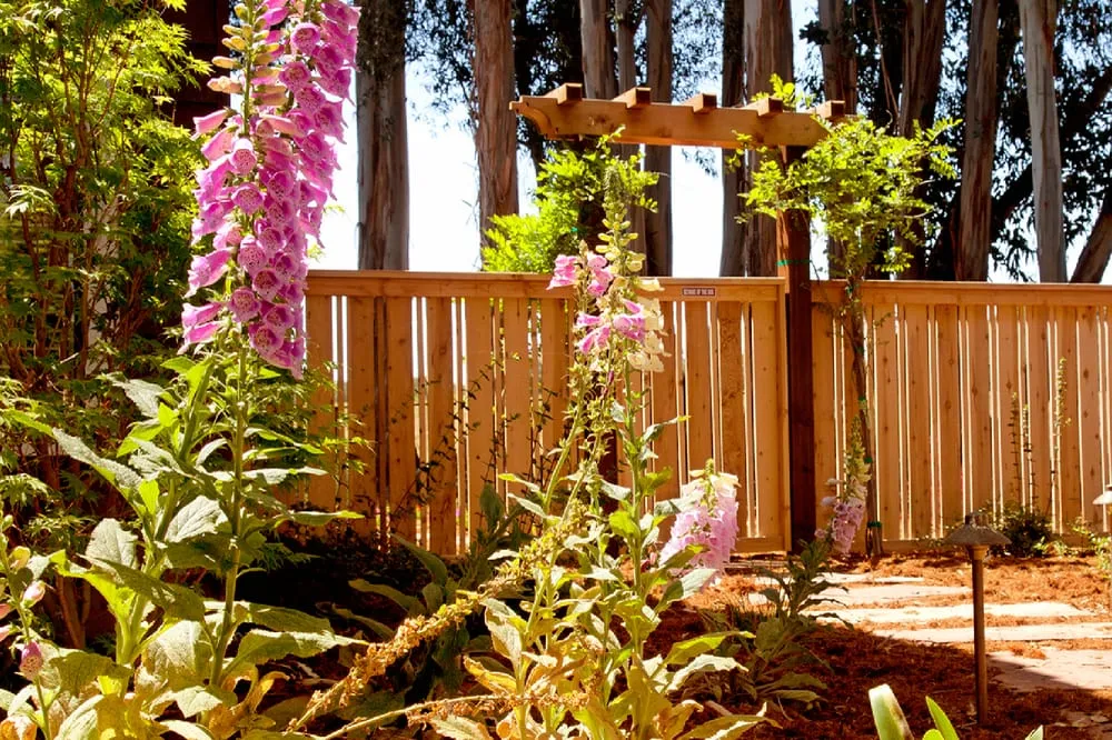 Professional lawn mowing service in Arroyo Grande, CA by Addison Landscape & Maintenance