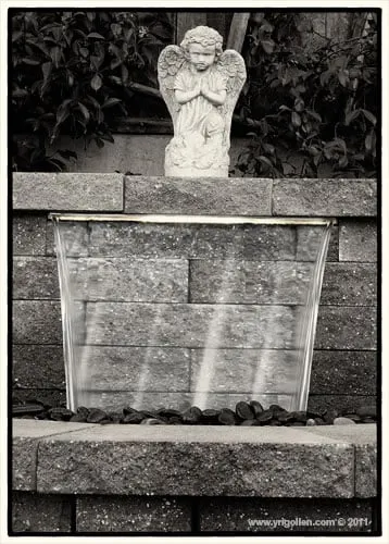 Professional lawn care service in Arroyo Grande, CA by Addison Landscape & Maintenance