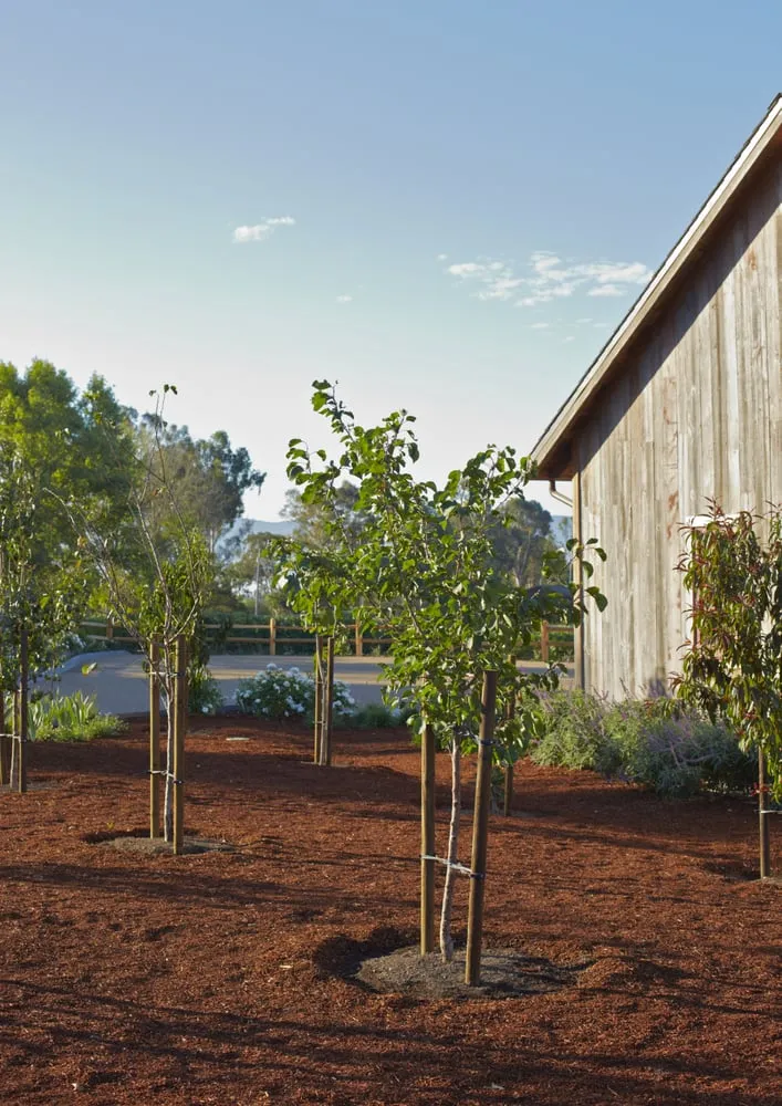 Custom landscape design in Arroyo Grande, CA by Addison Landscape & Maintenance