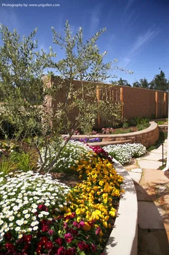 Top-rated yard maintenance for residential properties in Arroyo Grande, CA by Addison Landscape & Maintenance