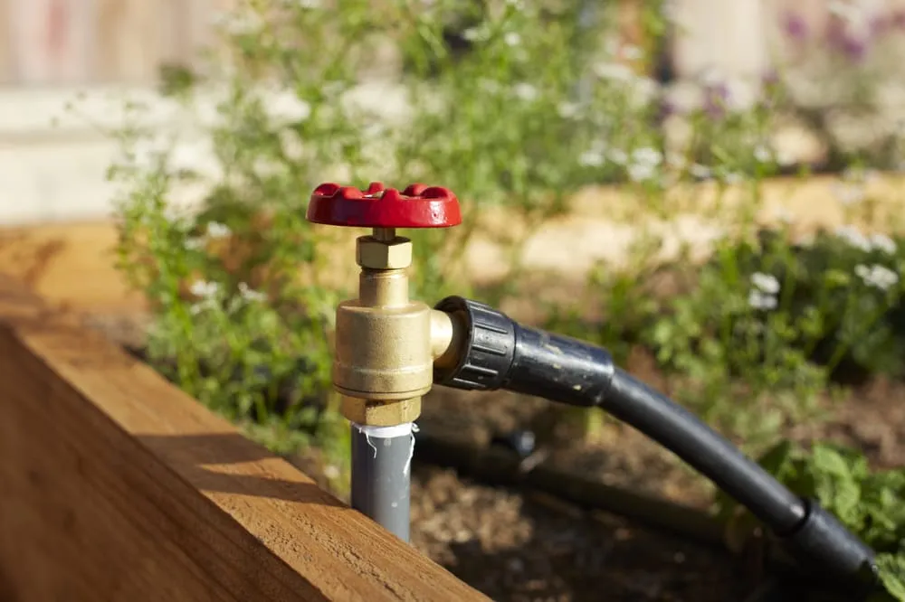 Trusted landscaping services for year-round maintenance across Arroyo Grande, CA - Addison Landscape & Maintenance