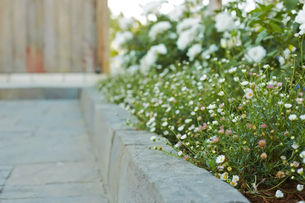 Trusted garden landscaping for beautiful yards in Arroyo Grande, CA by Addison Landscape & Maintenance