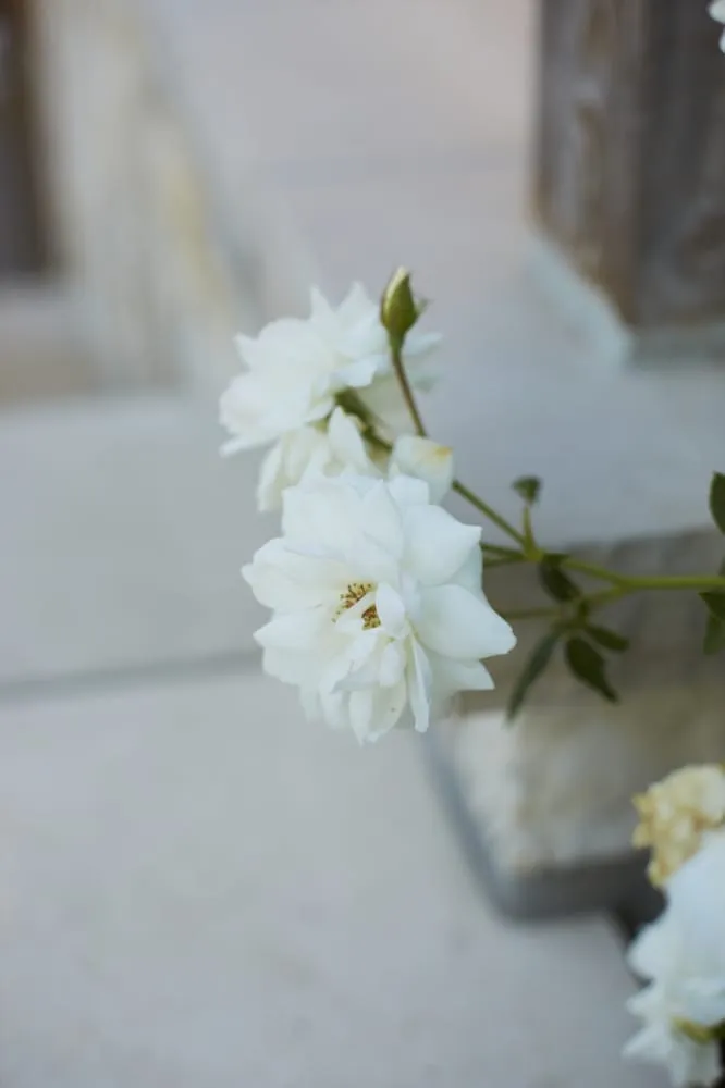 Local landscape design experts serving Arroyo Grande, CA - Addison Landscape & Maintenance