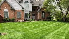 Expert outdoor landscaping for beautiful yards in Lake Placid, FL by Addison Lawn Care