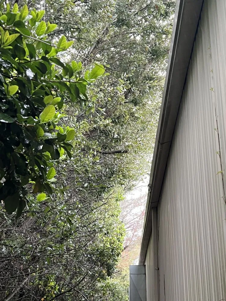 Trusted landscape installation with custom design across Jacksonville, FL - Addison Quality Lawn Care