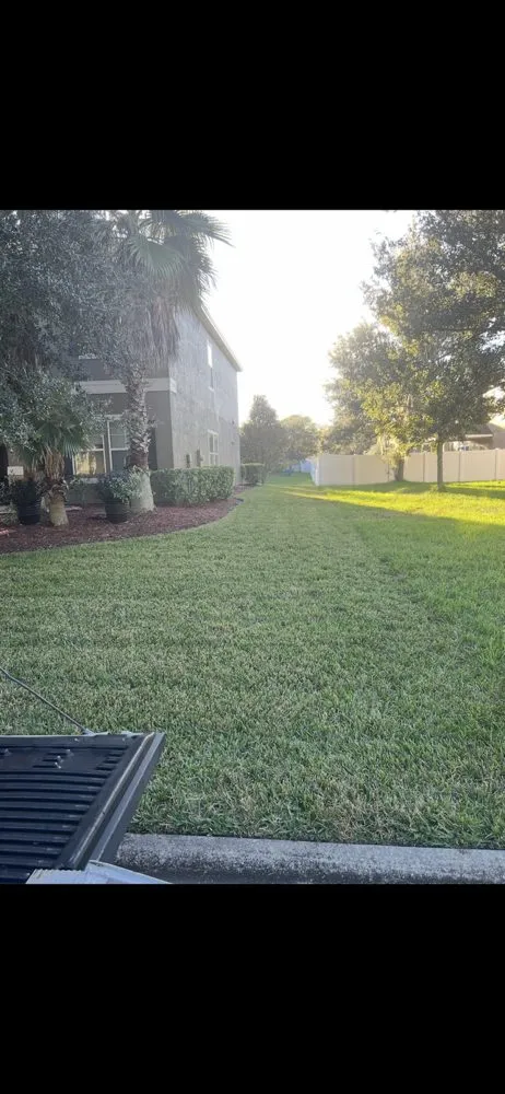 Affordable yard cleanup service for residential properties across Jacksonville, FL - Addison Quality Lawn Care