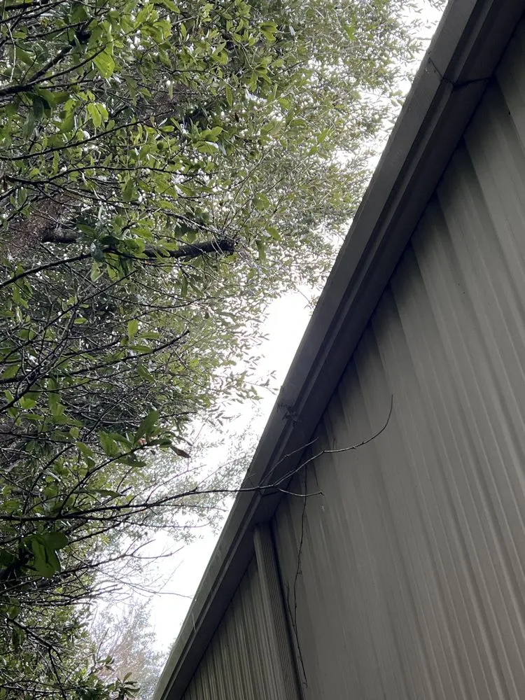 Affordable landscaping services in Jacksonville, FL by Addison Quality Lawn Care