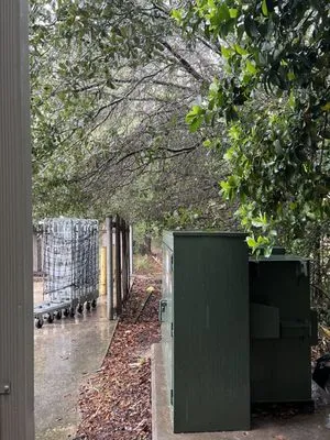 Addison Quality Lawn Care Logo