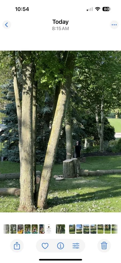 Expert outdoor landscaping for residential properties across Lakeville, MI - Addison Tree & Outdoor Services