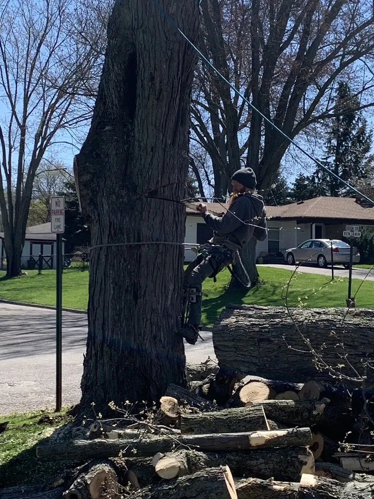 Trusted landscape installation experts serving Lakeville, MI - Addison Tree & Outdoor Services