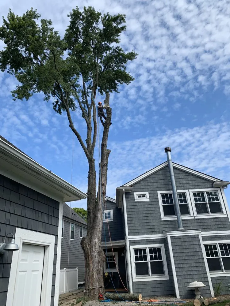 Affordable garden landscaping for beautiful yards across Lakeville, MI - Addison Tree & Outdoor Services